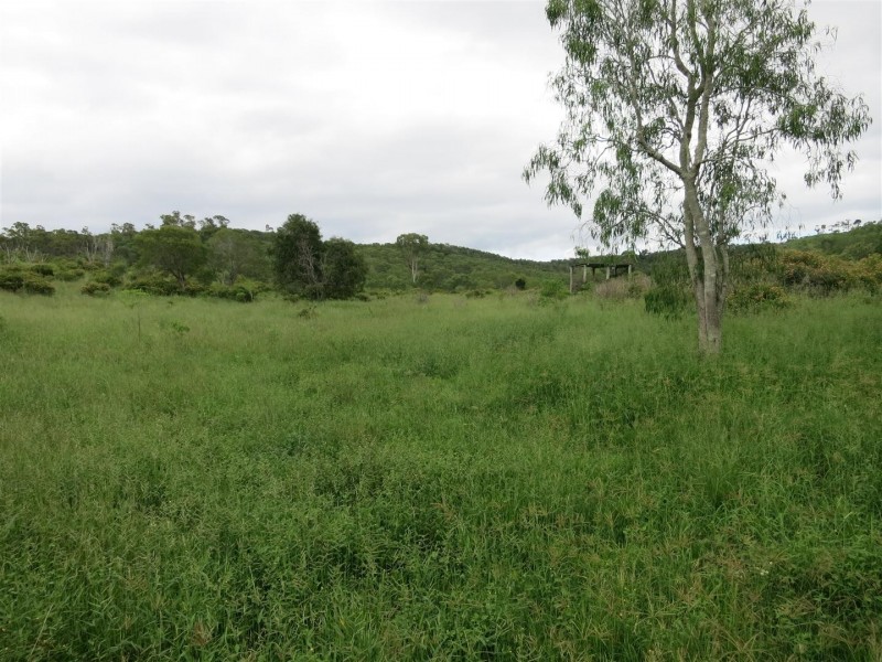 165 Spanns Road, Mount Larcom QLD 4695