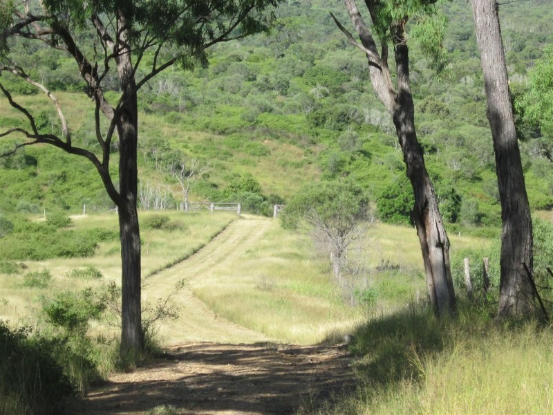 165 Spanns Road, Mount Larcom QLD 4695