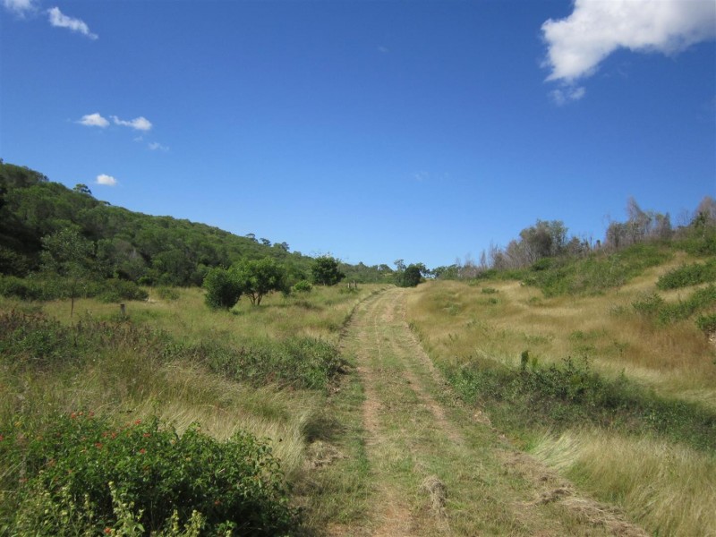 165 Spanns Road, Mount Larcom QLD 4695