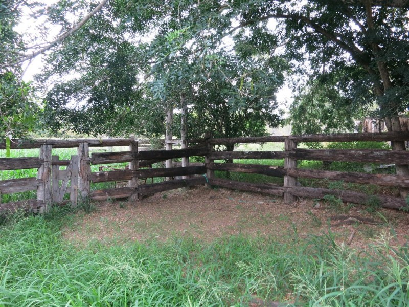 165 Spanns Road, Mount Larcom QLD 4695