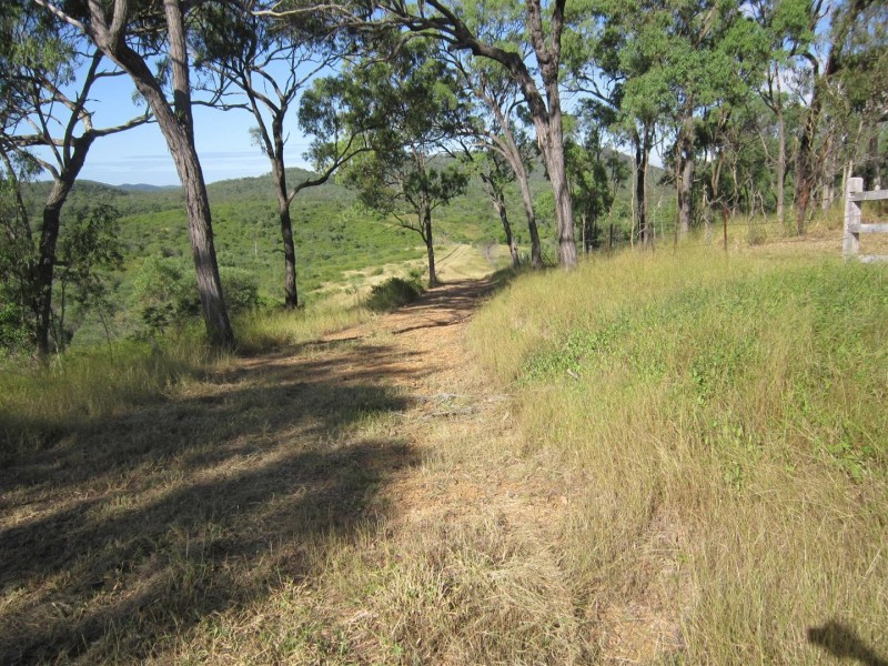 165 Spanns Road, Mount Larcom QLD 4695