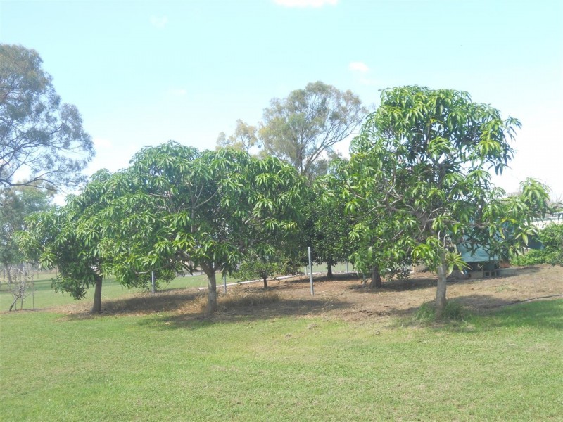 57 Huff Street, Gracemere QLD 4702