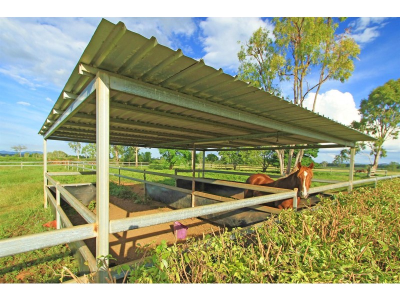 654 Alton Downs-Nine Mile Road, Alton Downs QLD 4702