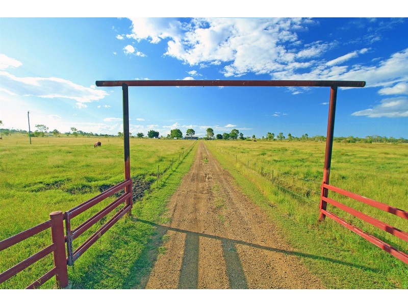 654 Alton Downs-Nine Mile Road, Alton Downs QLD 4702