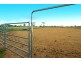 654 Alton Downs-Nine Mile Road, Alton Downs QLD 4702