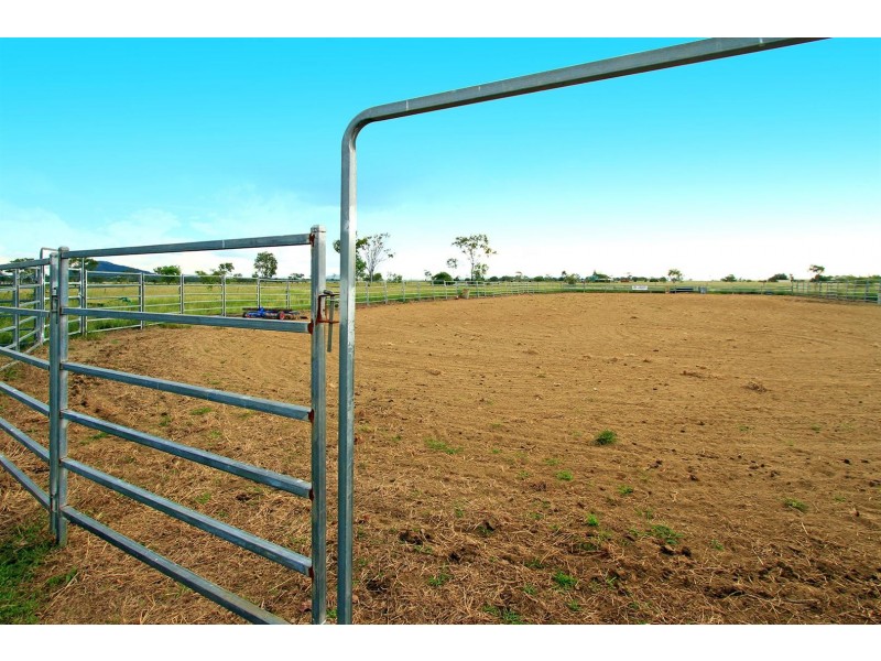 654 Alton Downs-Nine Mile Road, Alton Downs QLD 4702