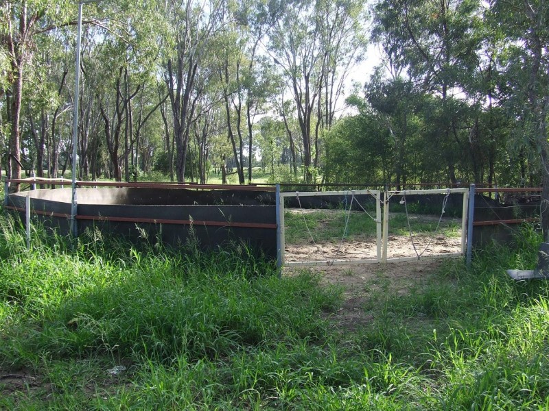 222 Delrosa Road, Alton Downs QLD 4702