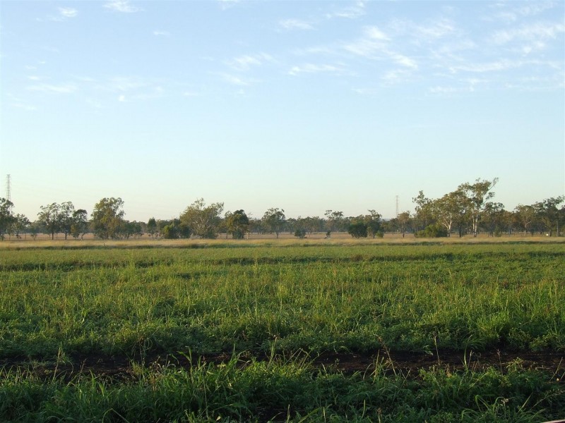 Lot 12 Nine Mile Road, Alton Downs QLD 4702