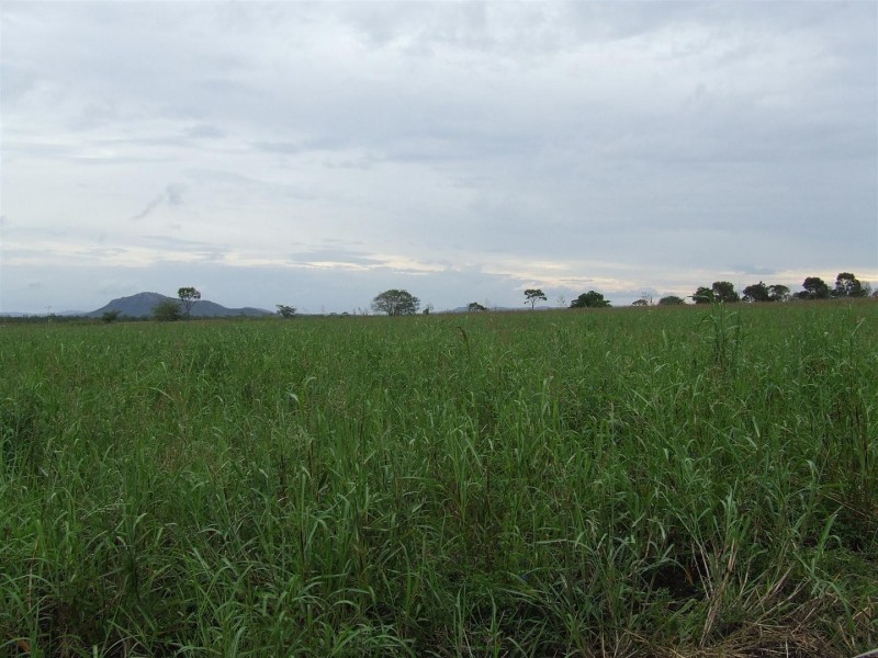 Lot 12 Nine Mile Road, Alton Downs QLD 4702