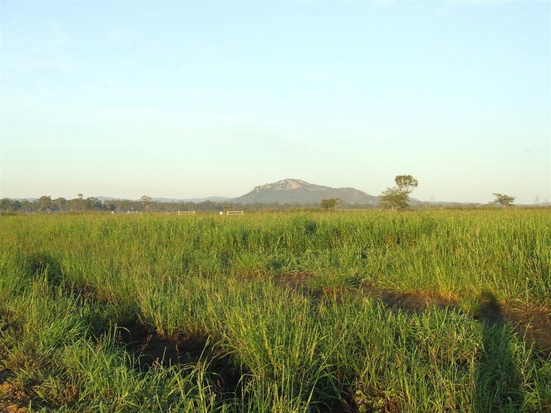 Lot 12 Nine Mile Road, Alton Downs QLD 4702