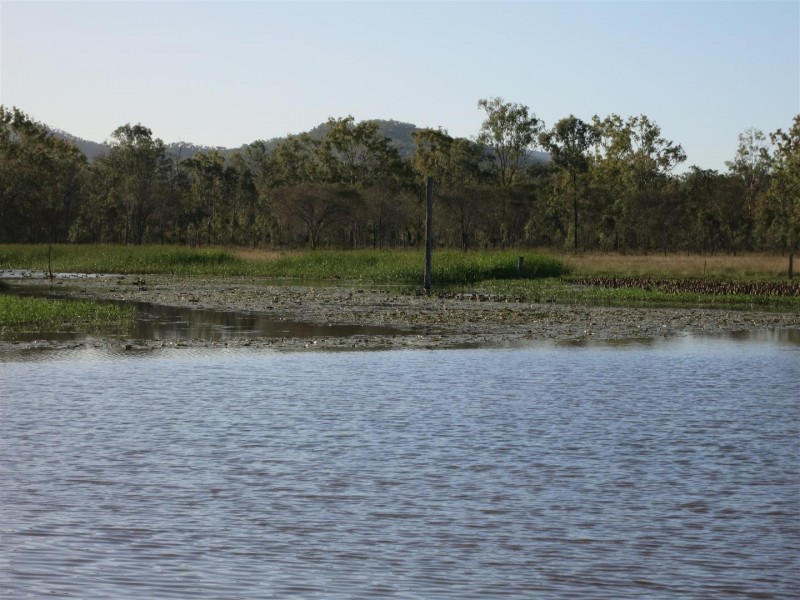 Lot 97 Nimmitabel Road, St Lawrence QLD 4707