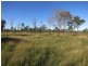 Lot 4 Nimmitabel Road, St Lawrence QLD 4707