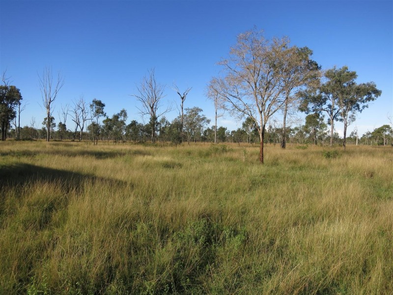 Lot 4 Nimmitabel Road, St Lawrence QLD 4707