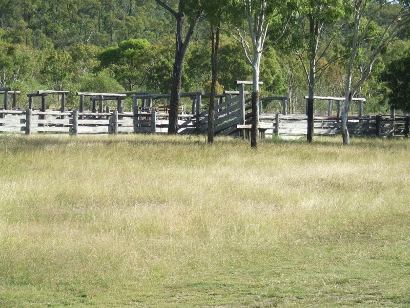 186 Wattlebank Road, Canoona QLD 4702