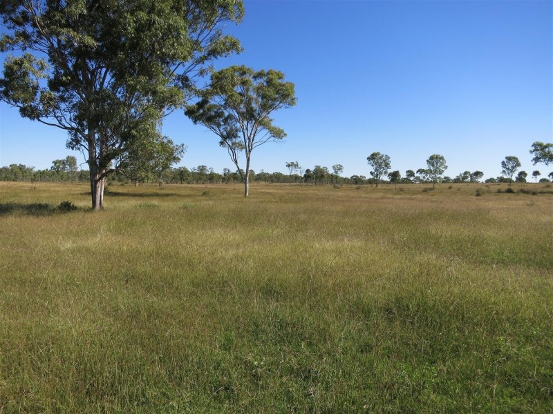 186 Wattlebank Road, Canoona QLD 4702