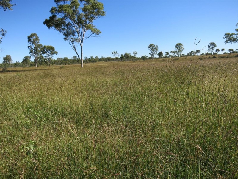 186 Wattlebank Road, Canoona QLD 4702