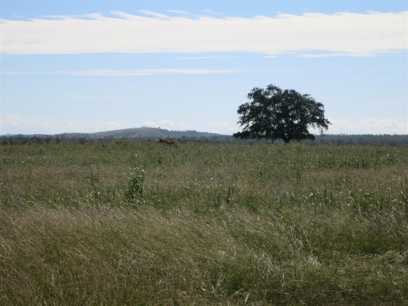 230 Shannen Road, Dalma QLD 4702