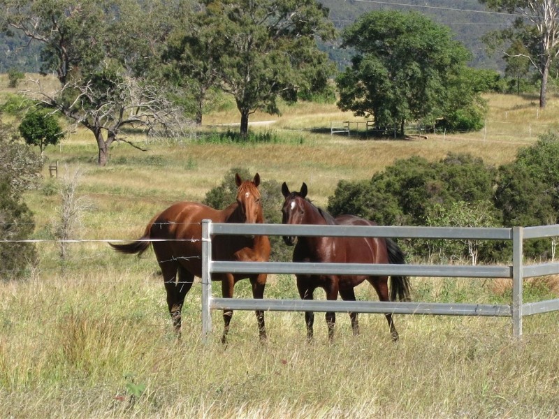 230 Shannen Road, Dalma QLD 4702