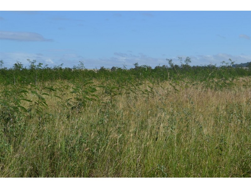 881 South Yaamba Road, South Yaamba QLD 4702