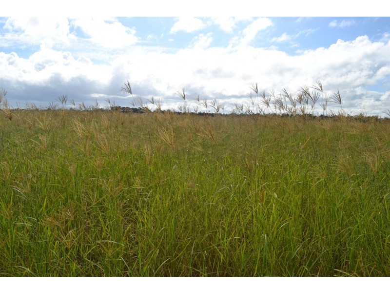 881 South Yaamba Road, South Yaamba QLD 4702