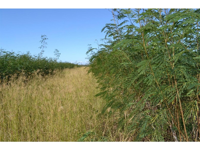 881 South Yaamba Road, South Yaamba QLD 4702