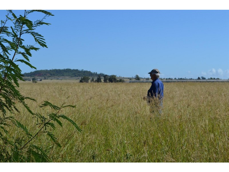 881 South Yaamba Road, South Yaamba QLD 4702