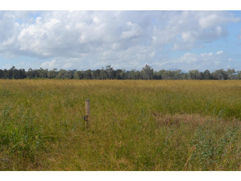 881 South Yaamba Road, South Yaamba QLD 4702