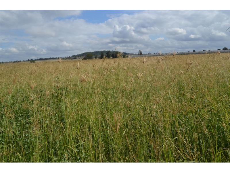 881 South Yaamba Road, South Yaamba QLD 4702