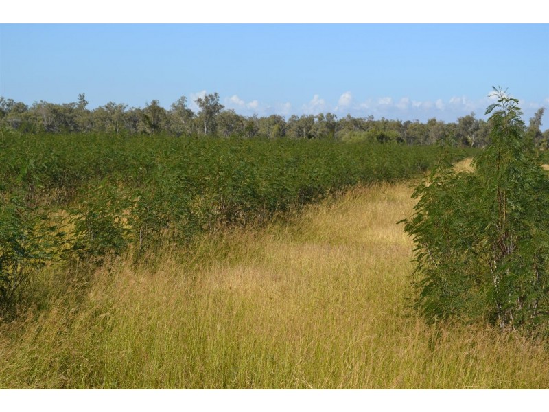 881 South Yaamba Road, South Yaamba QLD 4702