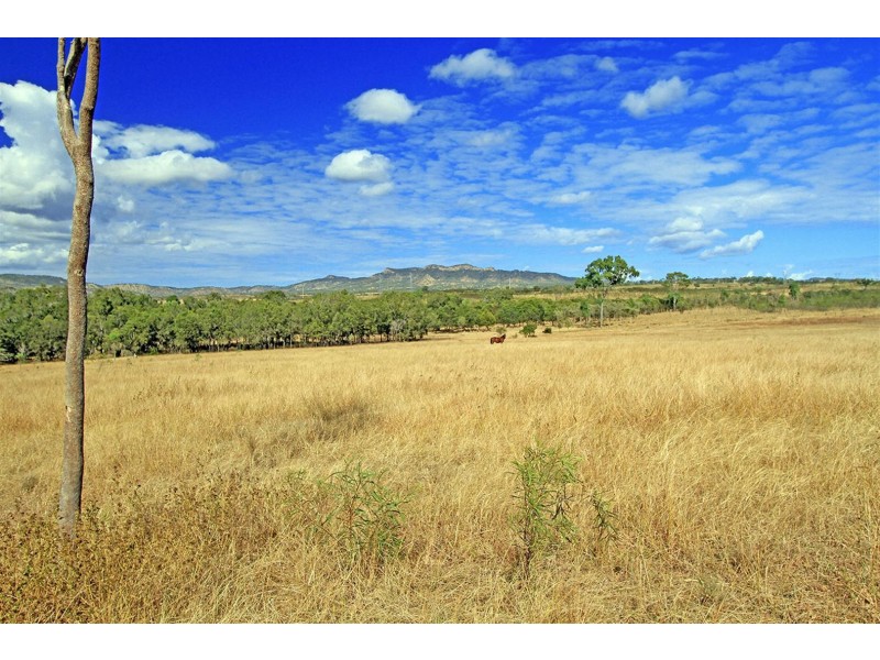 202 Callan Avenue, Kabra QLD 4702
