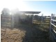 252 “New Hillgrove” Salmon Road, Garnant QLD 4702