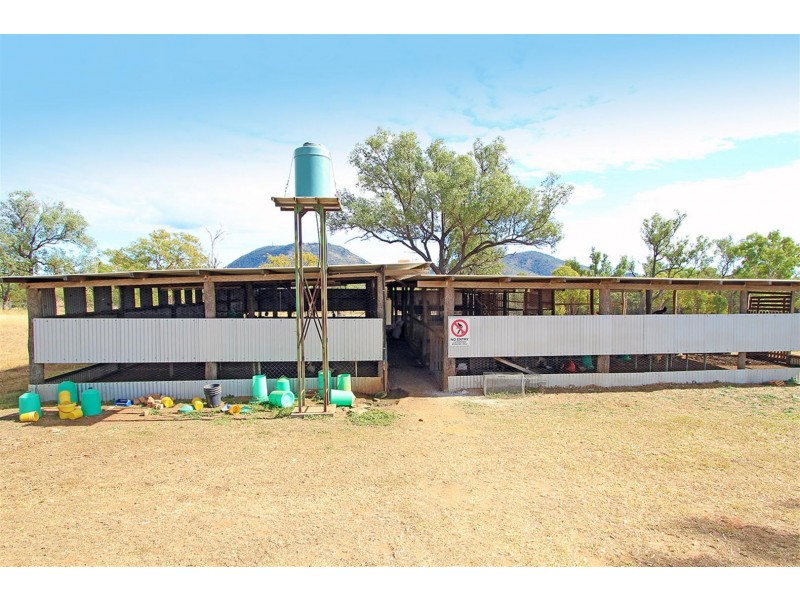 202 Callan Avenue, Kabra QLD 4702