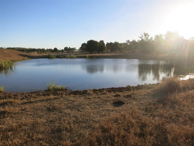252 “New Hillgrove” Salmon Road, Garnant QLD 4702