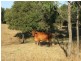 252 “New Hillgrove” Salmon Road, Garnant QLD 4702