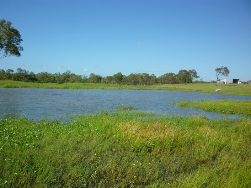 3100 Stanwell Waroula Road, Alton Downs QLD 4702