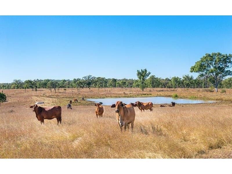 3100 Stanwell Waroula Road, Alton Downs QLD 4702