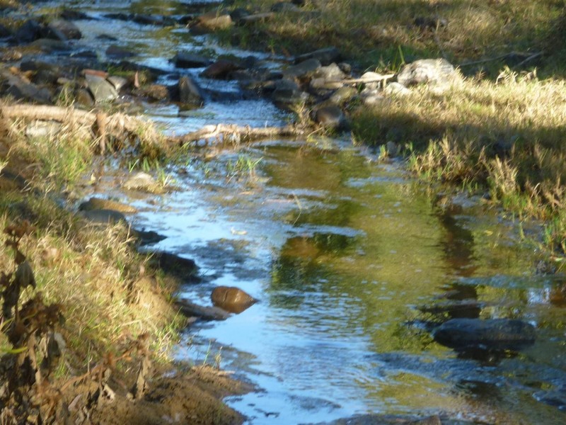 392 “Kabralea” Murphy Road, Kabra QLD 4702