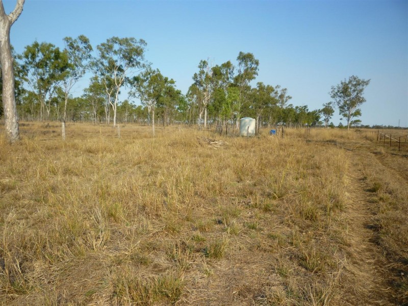 Lot 137 Tyrell Road, Alton Downs QLD 4702