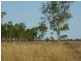 Lot 137 Tyrell Road, Alton Downs QLD 4702