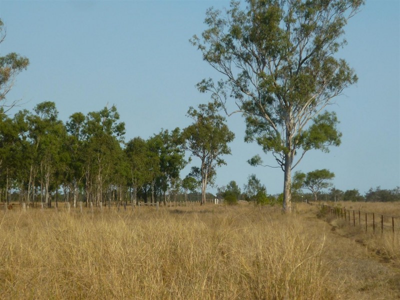 Lot 137 Tyrell Road, Alton Downs QLD 4702