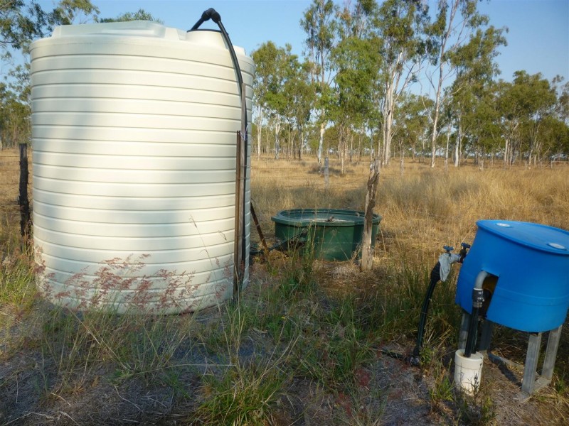 Lot 137 Tyrell Road, Alton Downs QLD 4702