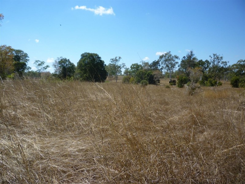 891 Stanwell-Waroula Road, Stanwell QLD 4702