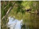 154 Nimitable Road, St Lawrence QLD 4707