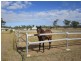 Lot 29 Clifton Street, Gracemere QLD 4702