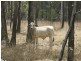 0 “Werribee Creek” Valley Road, Canal Creek QLD 4702