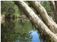 0 “Werribee Creek” Valley Road, Canal Creek QLD 4702