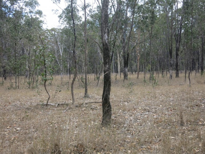 0 “Werribee Creek” Valley Road, Canal Creek QLD 4702