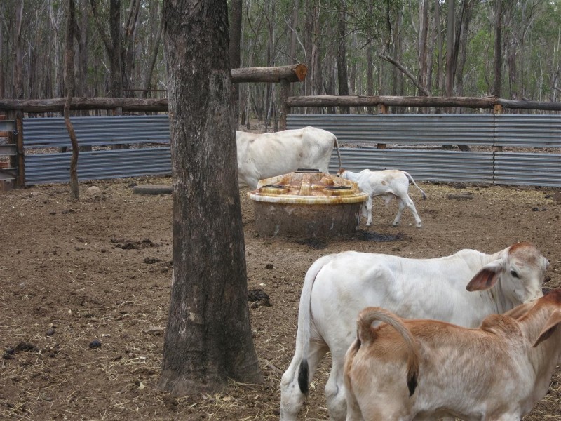 0 “Werribee Creek” Valley Road, Canal Creek QLD 4702