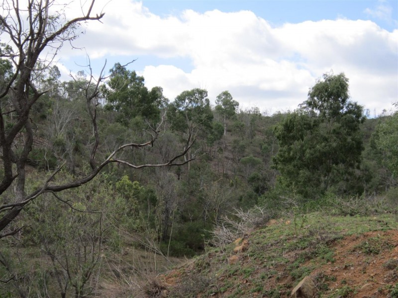 134 Burnett Highway, Mount Morgan QLD 4714