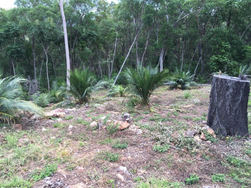 537 Struck Oil Road, Struck Oil QLD 4714